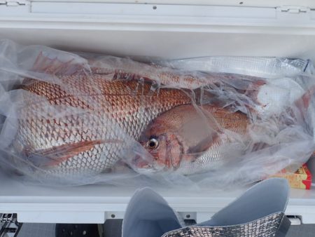 Aquanaut(アクアノート) 釣果