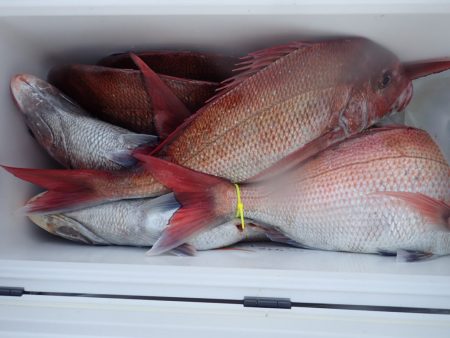 Aquanaut(アクアノート) 釣果