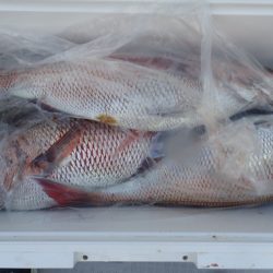 Aquanaut(アクアノート) 釣果