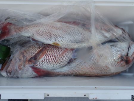 Aquanaut(アクアノート) 釣果