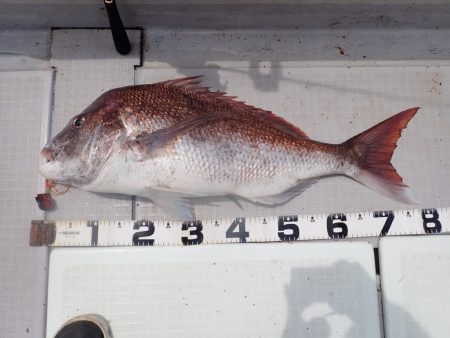 Aquanaut(アクアノート) 釣果