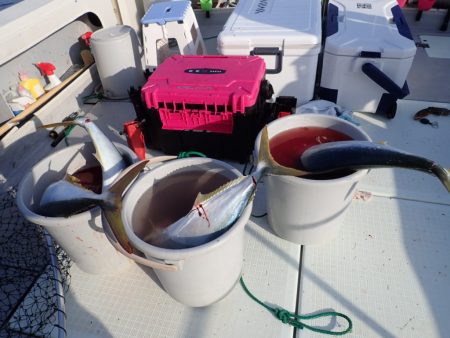 Aquanaut(アクアノート) 釣果