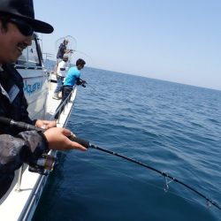 Aquanaut(アクアノート) 釣果