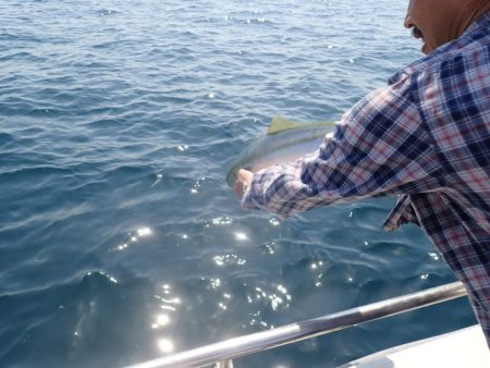 Aquanaut(アクアノート) 釣果