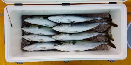 火遠理丸（ほおりまる） 釣果