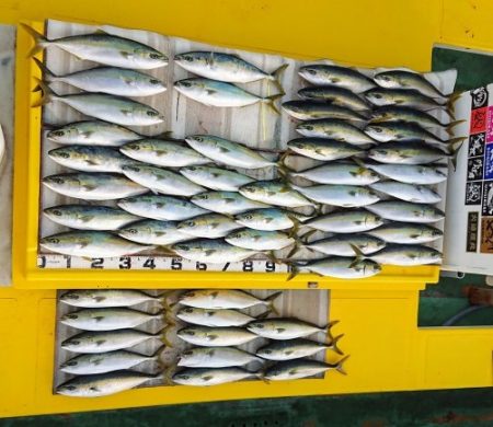 火遠理丸（ほおりまる） 釣果