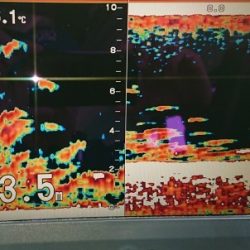 火遠理丸（ほおりまる） 釣果