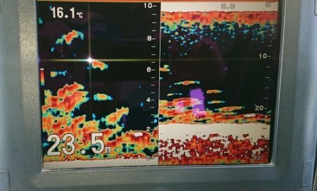 火遠理丸（ほおりまる） 釣果