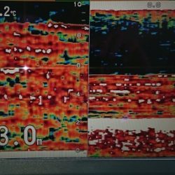 火遠理丸（ほおりまる） 釣果