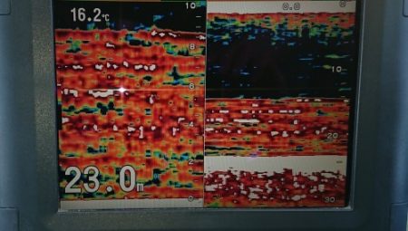 火遠理丸（ほおりまる） 釣果