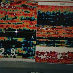 火遠理丸（ほおりまる） 釣果