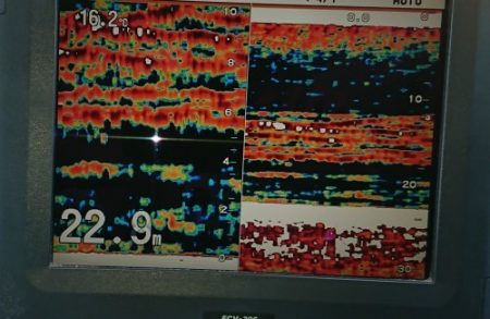 火遠理丸（ほおりまる） 釣果