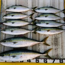 火遠理丸（ほおりまる） 釣果