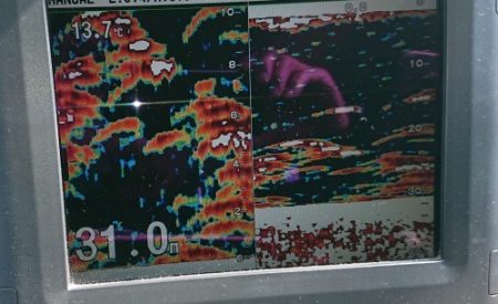 火遠理丸（ほおりまる） 釣果