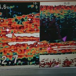 火遠理丸（ほおりまる） 釣果