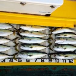 火遠理丸（ほおりまる） 釣果