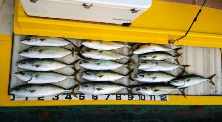 火遠理丸（ほおりまる） 釣果