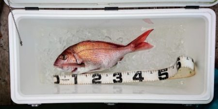 火遠理丸(ほおりまる) 釣果