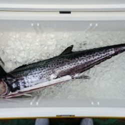 火遠理丸(ほおりまる) 釣果