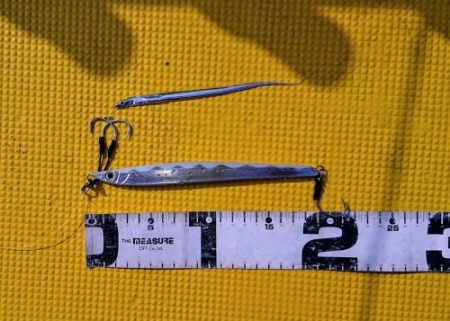 火遠理丸(ほおりまる) 釣果