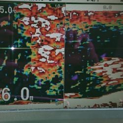 火遠理丸(ほおりまる) 釣果