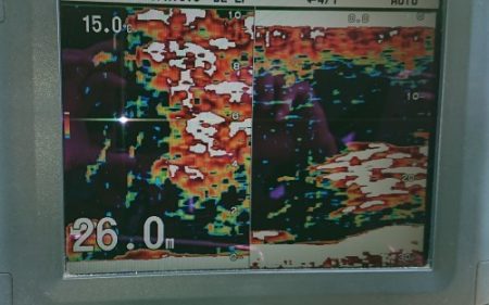 火遠理丸(ほおりまる) 釣果