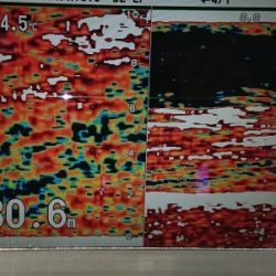 火遠理丸(ほおりまる) 釣果