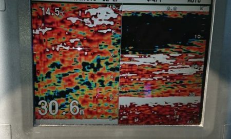 火遠理丸(ほおりまる) 釣果