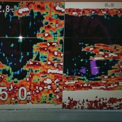 火遠理丸(ほおりまる) 釣果