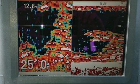 火遠理丸(ほおりまる) 釣果