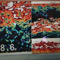 火遠理丸(ほおりまる) 釣果