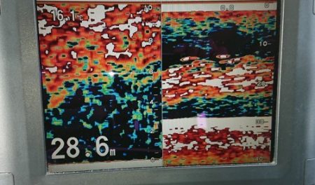 火遠理丸(ほおりまる) 釣果