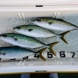 火遠理丸（ほおりまる） 釣果