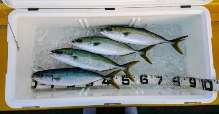 火遠理丸（ほおりまる） 釣果