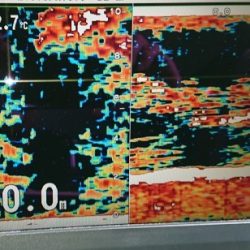 火遠理丸（ほおりまる） 釣果