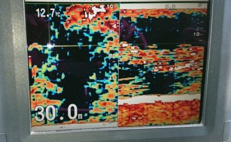 火遠理丸（ほおりまる） 釣果