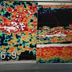 火遠理丸（ほおりまる） 釣果