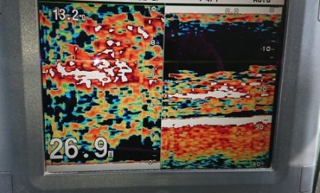 火遠理丸（ほおりまる） 釣果