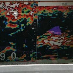 火遠理丸（ほおりまる） 釣果