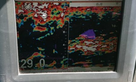 火遠理丸（ほおりまる） 釣果