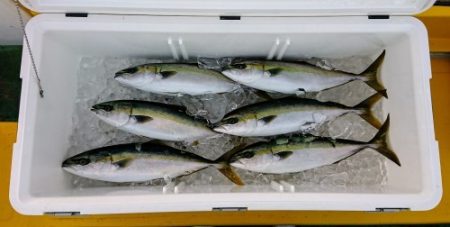 火遠理丸（ほおりまる） 釣果