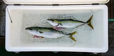 火遠理丸（ほおりまる） 釣果