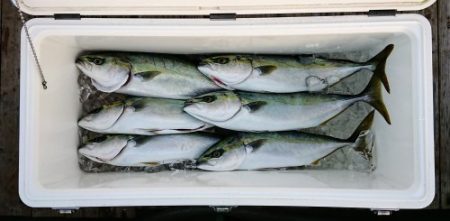 火遠理丸（ほおりまる） 釣果