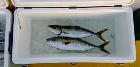 火遠理丸（ほおりまる） 釣果