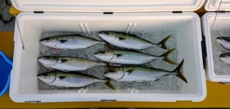 火遠理丸（ほおりまる） 釣果