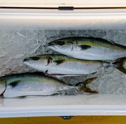 火遠理丸(ほおりまる) 釣果