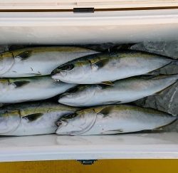 火遠理丸（ほおりまる） 釣果