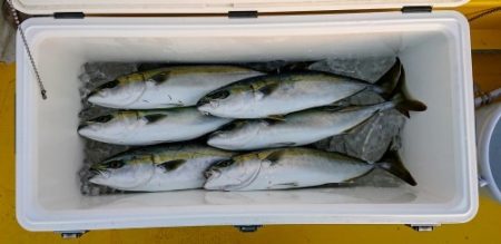 火遠理丸（ほおりまる） 釣果