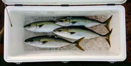 火遠理丸（ほおりまる） 釣果