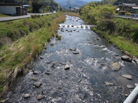 狩野川（狩野川漁業協同組合） 釣果